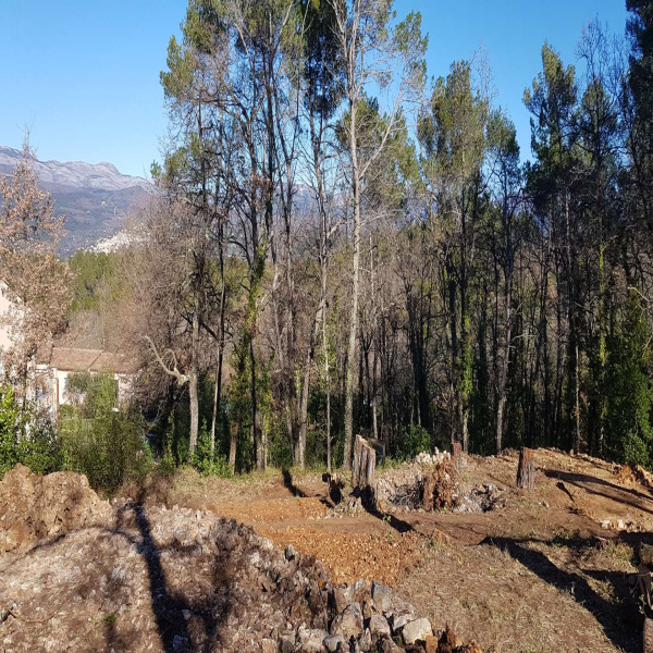 Offres de vente Terrain Fayence 83440