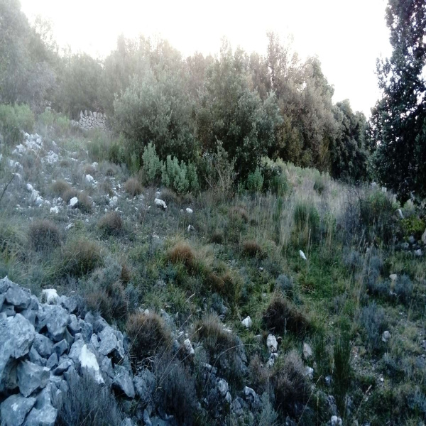 Offres de vente Terrain Mons 83440