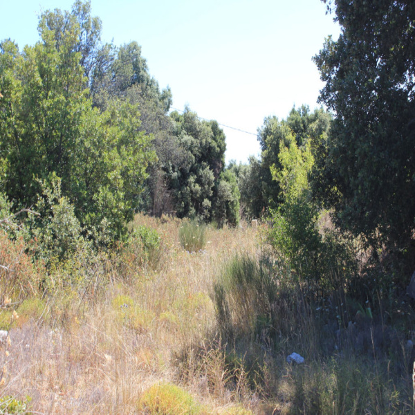 Offres de vente Terrain Mons 83440