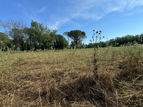 Offres de vente Terrain Tourrettes 83440