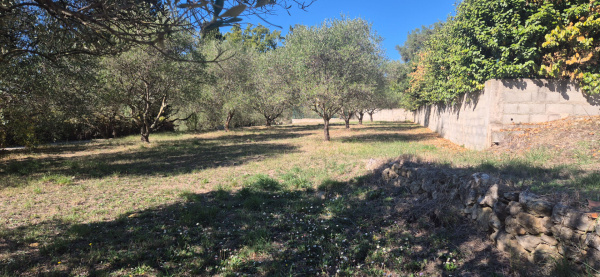 Offres de vente Terrain Montauroux 83440