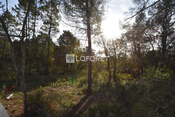 Offres de vente Terrain Bagnols-en-Forêt 83600